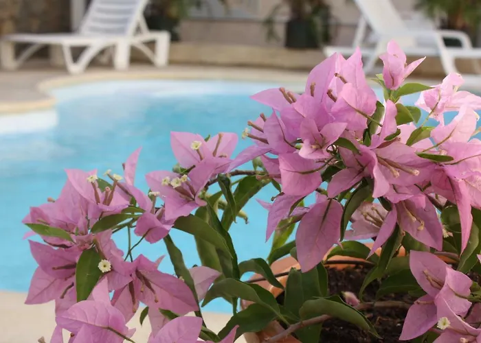 Residence Le Lotus