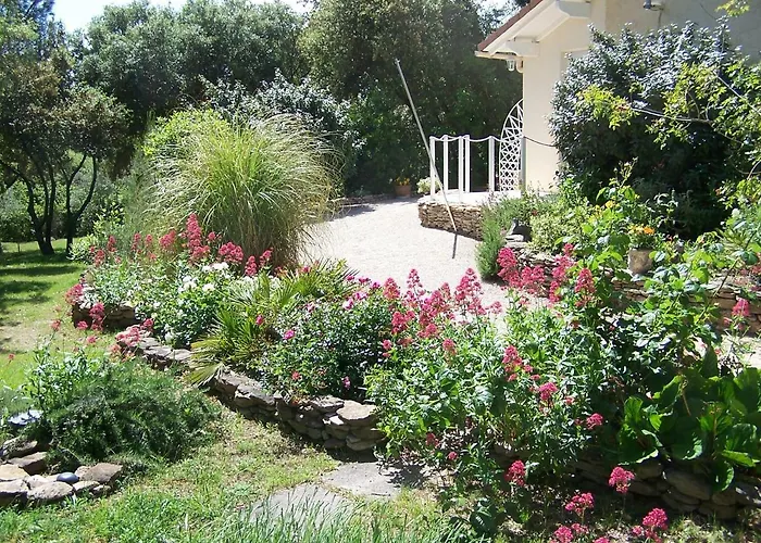 Les Florides