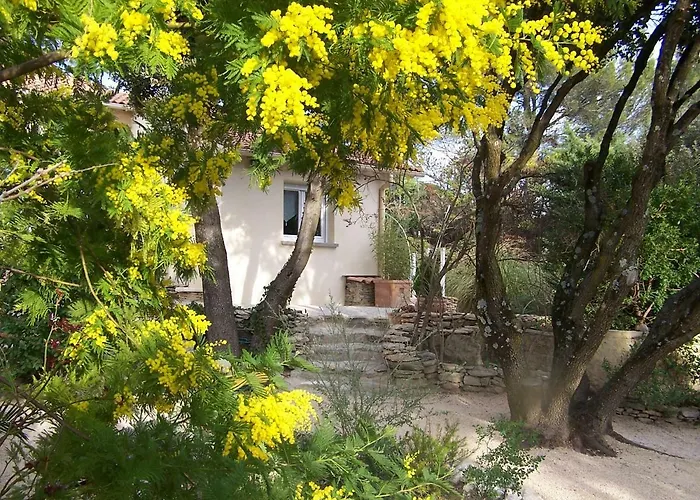 Les Florides