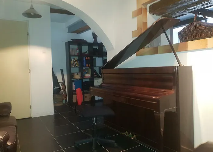 Animaux admis 13 Rue Jeanne D'Arc