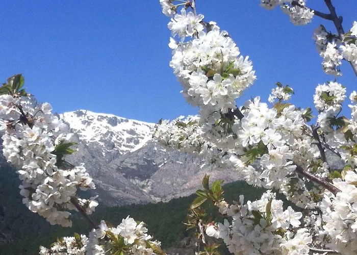 EL LLANO - El Hornillo, tu pueblo en la Sierra de Gredos.