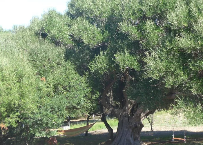 agriturismo gli olivastri -appartamento bel vedere con piscina ,solarium e vista mare,climatizzatore ,wifi