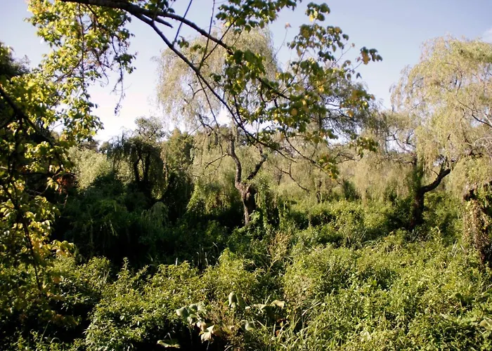 Cabaña Delta.LaSofi